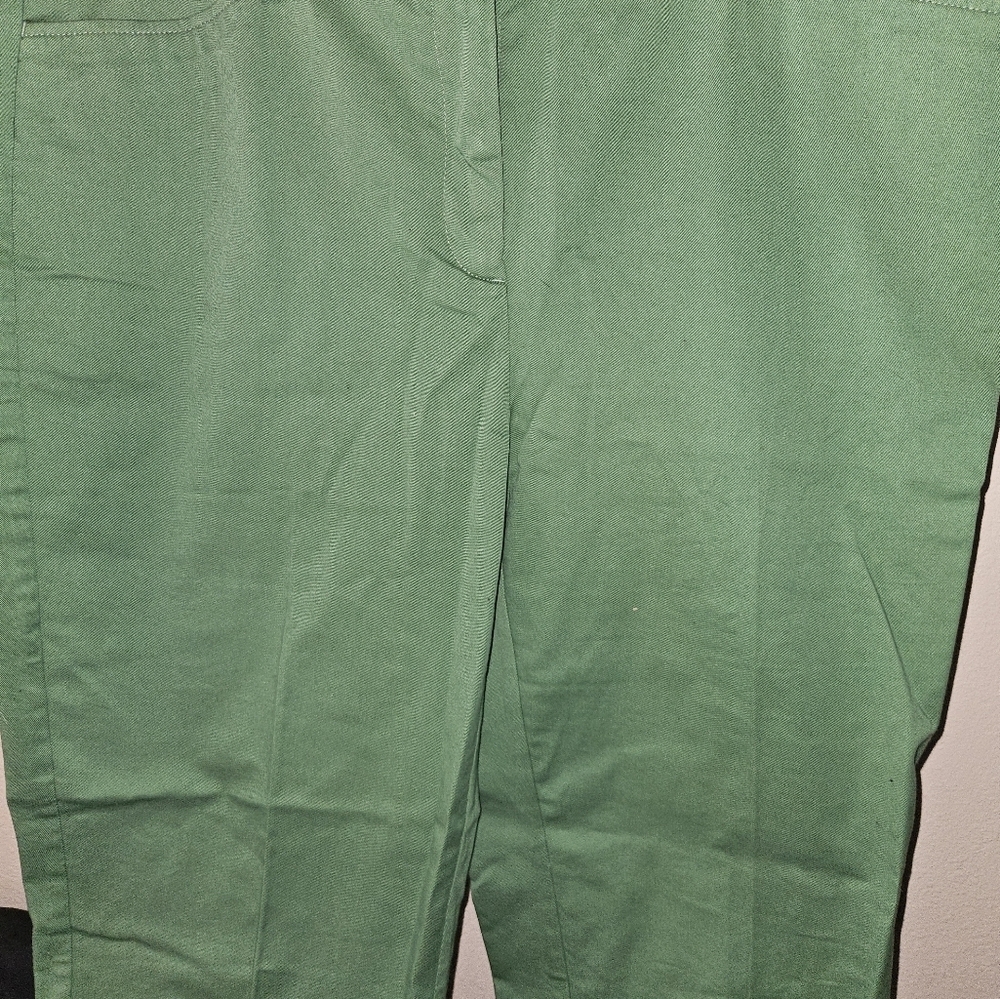 Lands End Womans Green Mid Rise Slim Leg Pants Size 16T - Picture 3 of 13